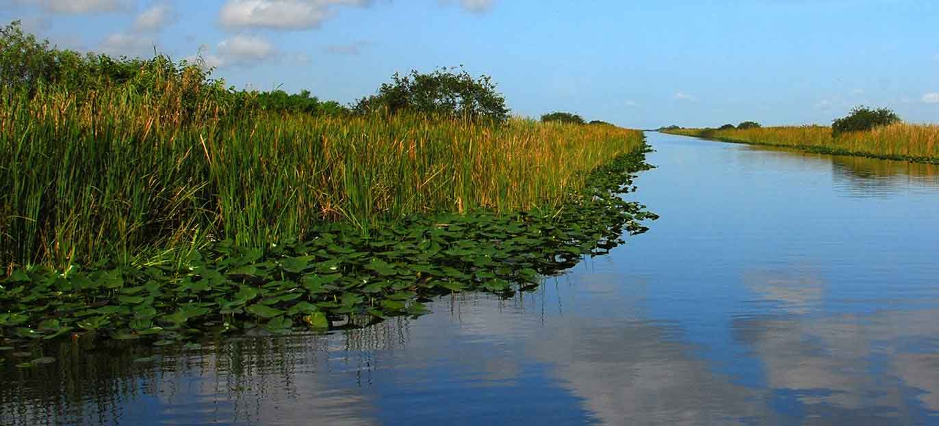 Cabin Rentals In Lake Placid Fl Lake Placid Cabins For Rent